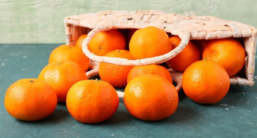    Pixel_shot / Фотобанк Лори