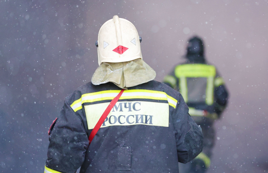    Алексей Белкин/NEWS.ru