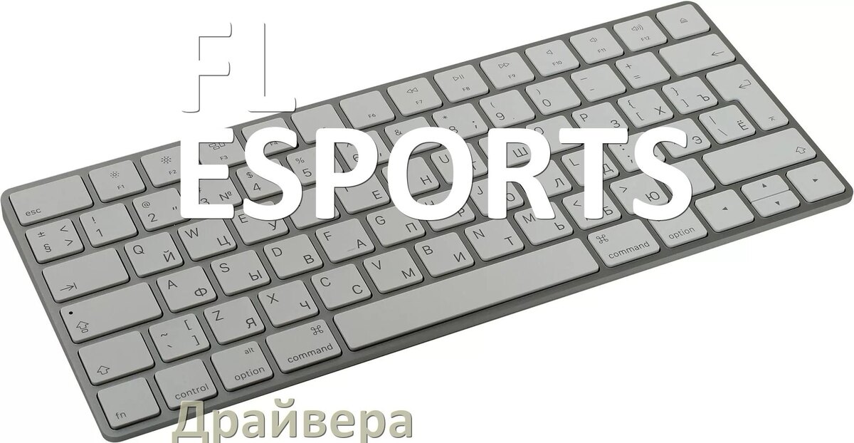 
Драйвер клавиатуры FL ESPORTS для Windows 11 и 10