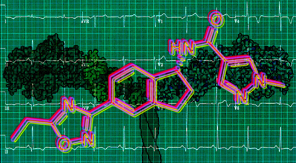   N + 1; David S. Goodsell of The Scripps Research Institute / Wikimedia Commons / Public Domain; W.G. de Voogt, MD, PhD, SLAZ, The Netherlands / Wikimedia Commons / CC BY-SA 3.0; Innerstream / Wikimedia Commons / Public Domain