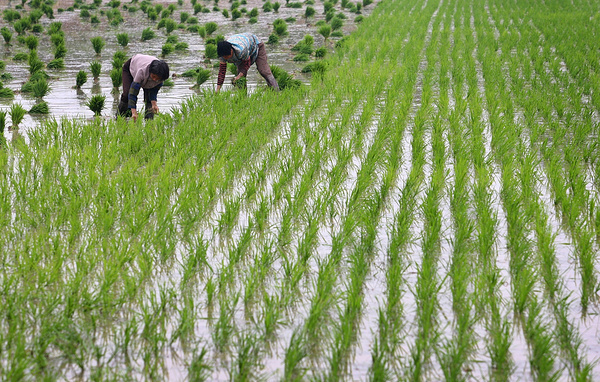 China Photos/Getty Images