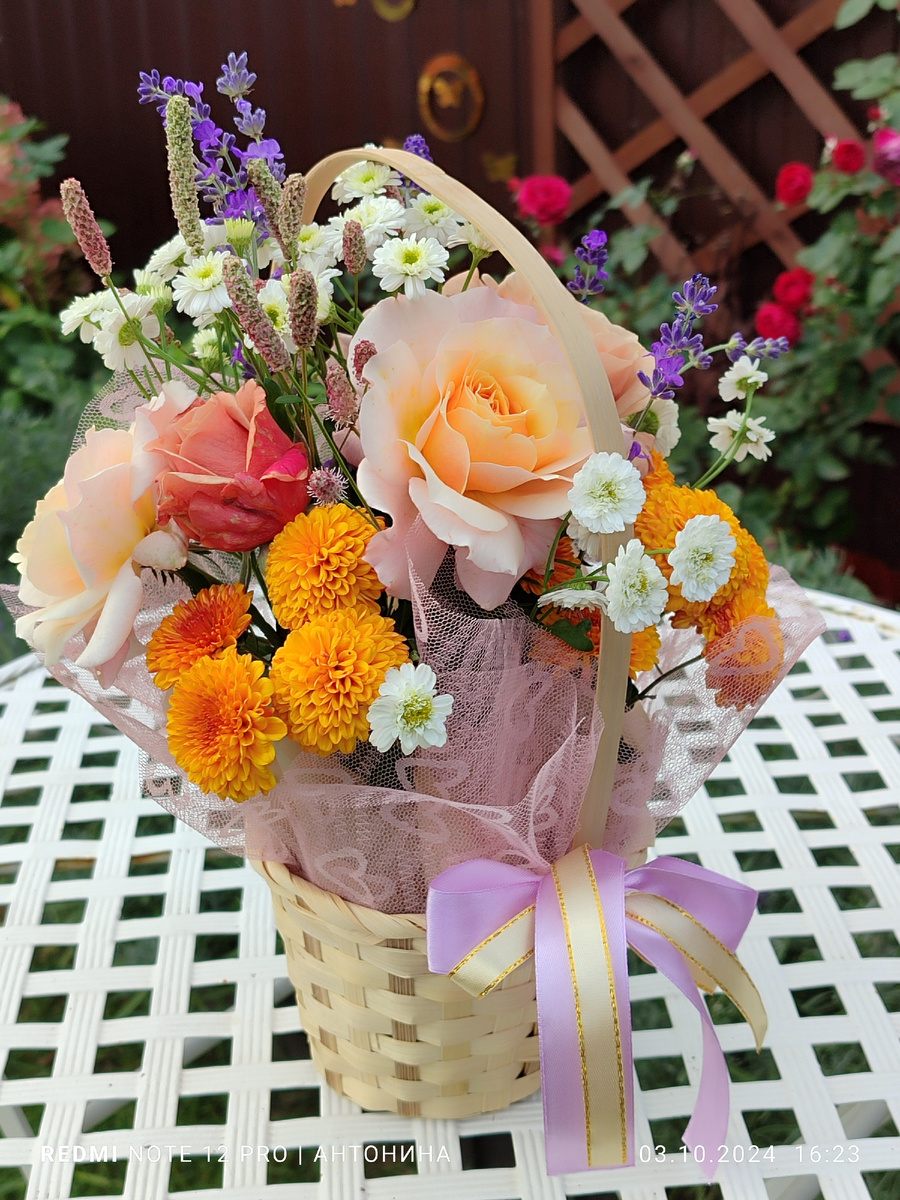 Букет ко дню Учителя для моей племянницы. Матрикария сорта Тетра Вайт.