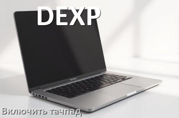 
Как включить тачпад ноутбука DEXP на Windows 10 и 11