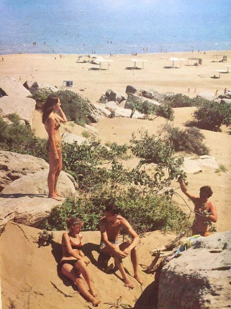 Загульба, 1983