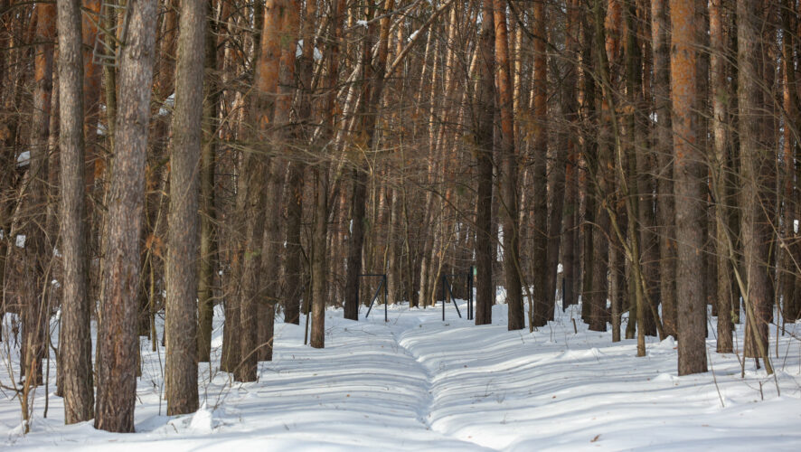    Фото: KazanFirst