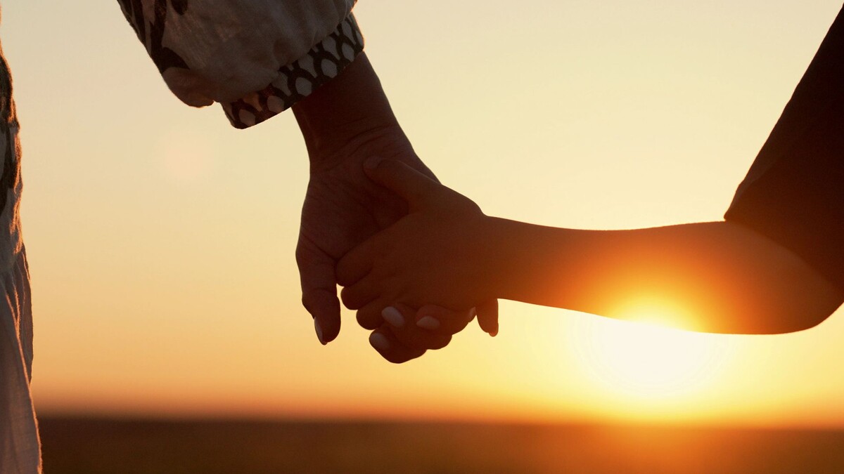    Фото: Stock Holm / Shutterstock / Fotodom