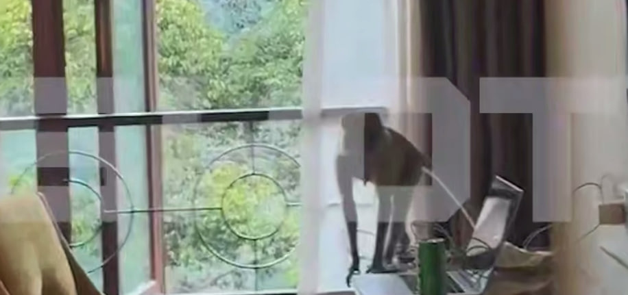     Telegram-канал Shot