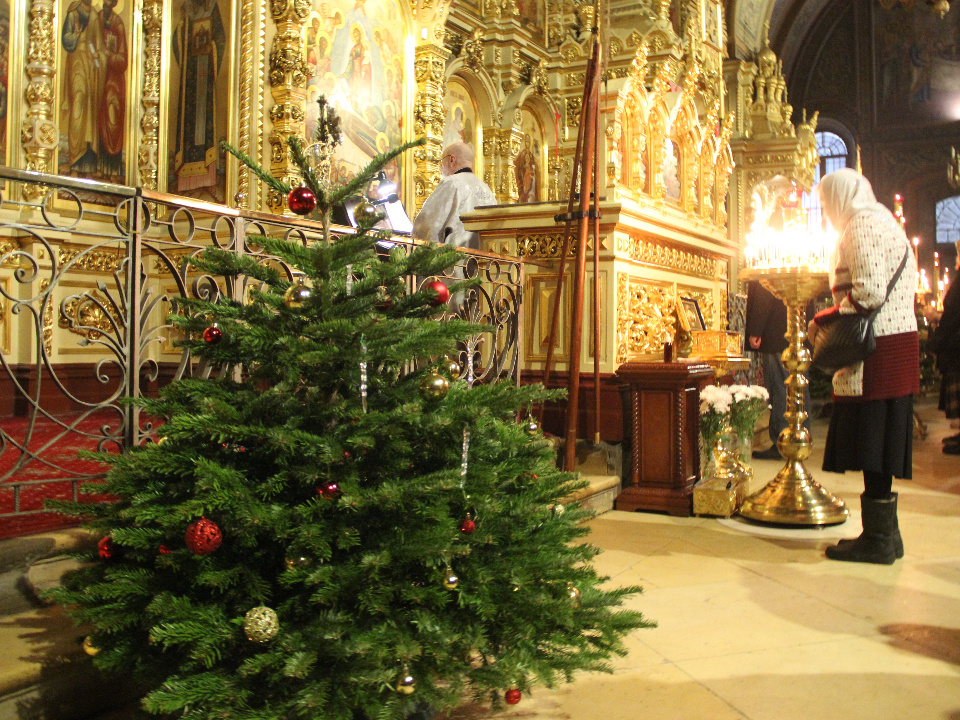    Фото: REGIONS/Василий Тремасов