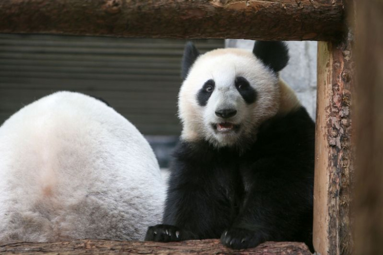    Наталья Шатохина/NEWS.ru