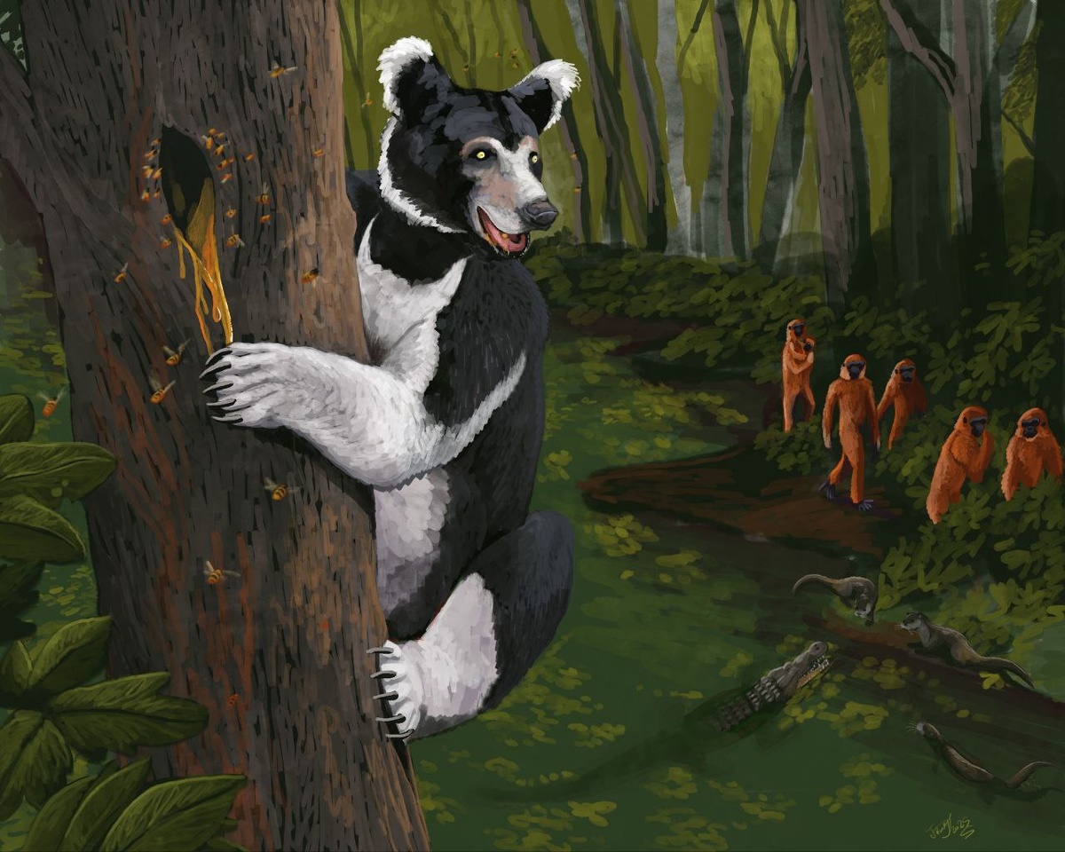 Ориопитеки идут внизу справа