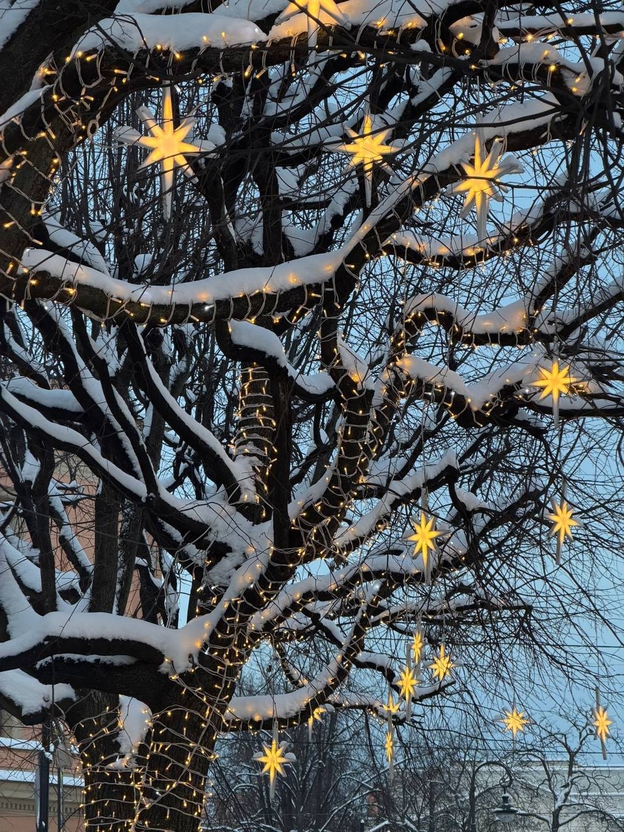 Заснеженный Санкт-Петербург