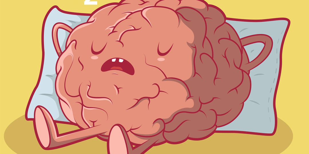 Память не подведёт: возьмите 5 полезных привычек, чтобы ничего не забывать и быстро всё запоминать