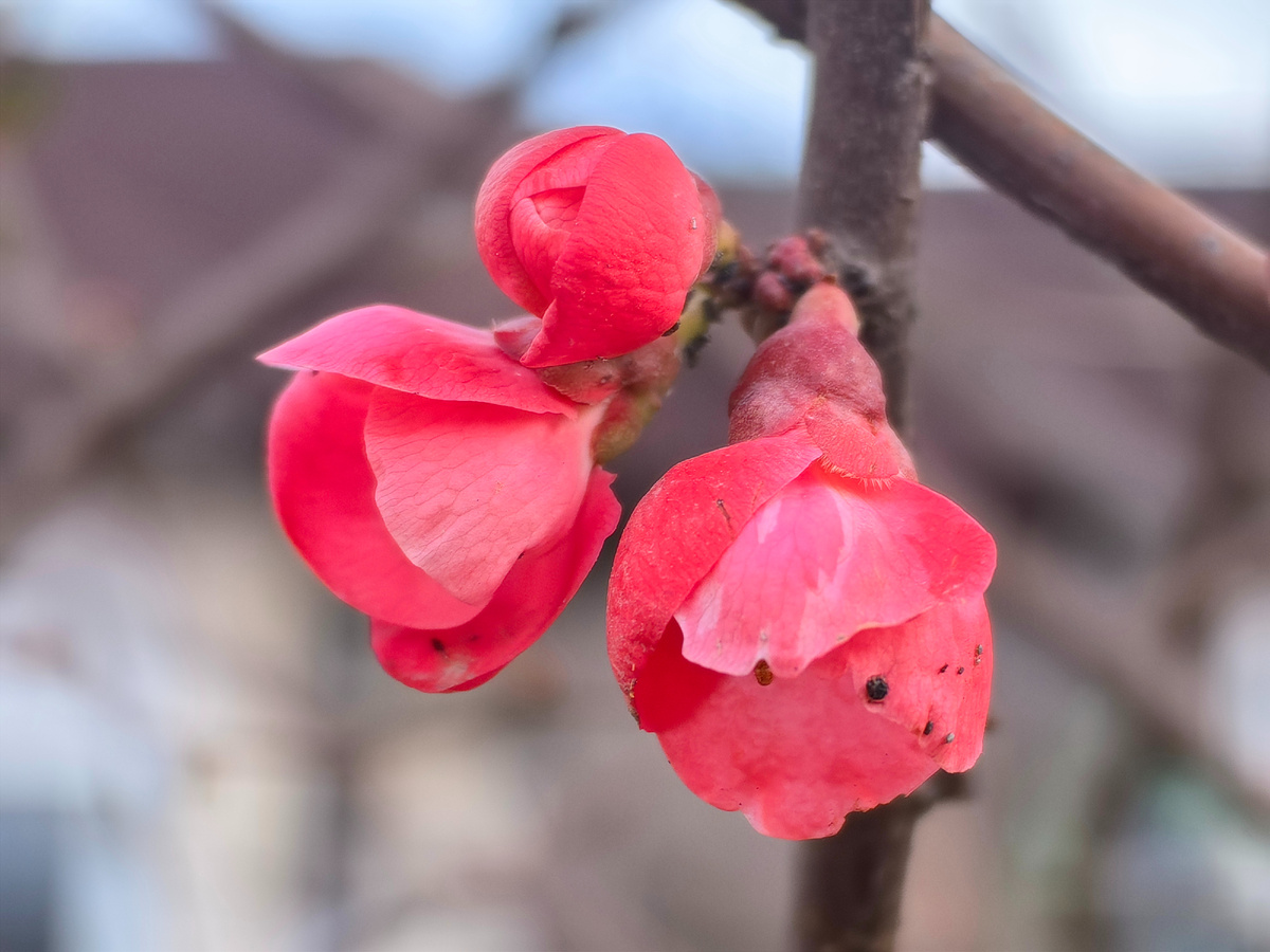 Сегодня. Фото автора канала