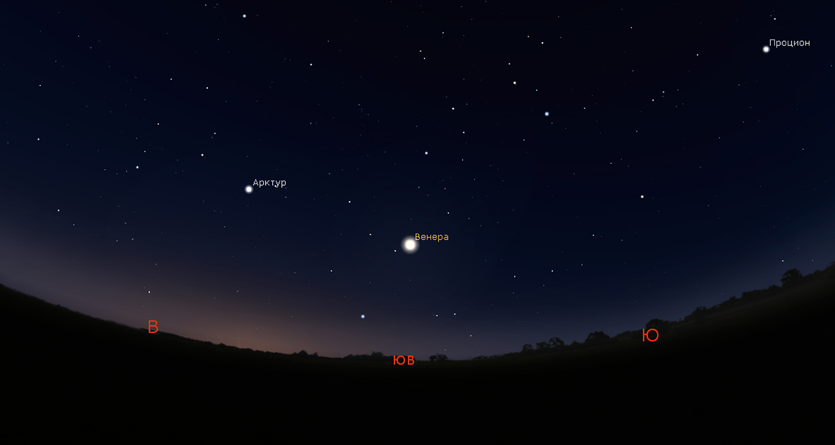 (источник: observer-msk.ru)