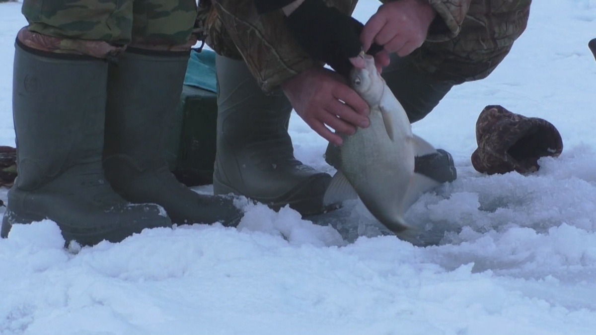 Кому-то везло и на леща...