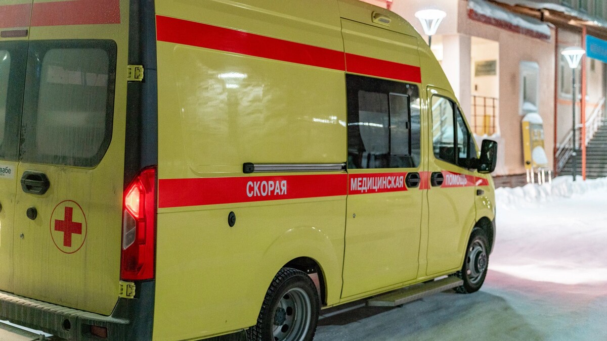    Фото: Сергей Зубков / "Ямал-Медиа"