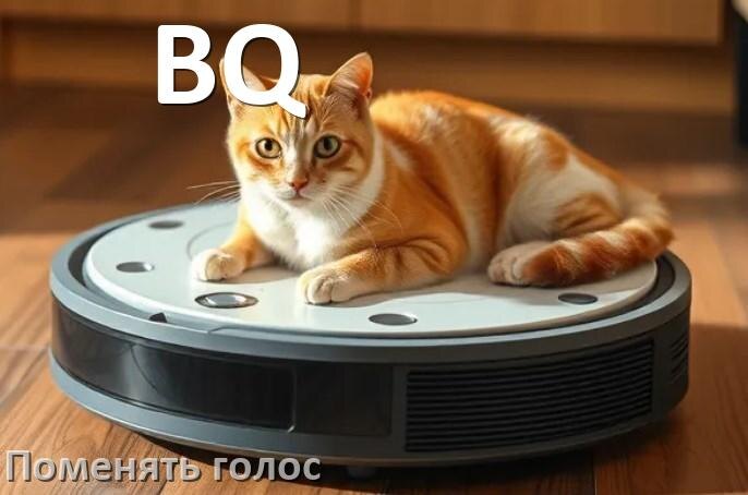 
Как поменять голос робота пылесоса BQ изменить голосовой пакет через телефон на Андроид и iPhone