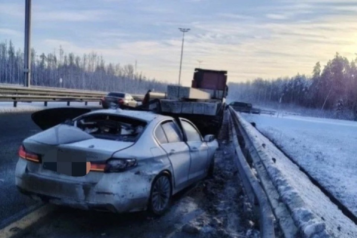    Фото: пресс-служба, источник: t.me/spb_police78