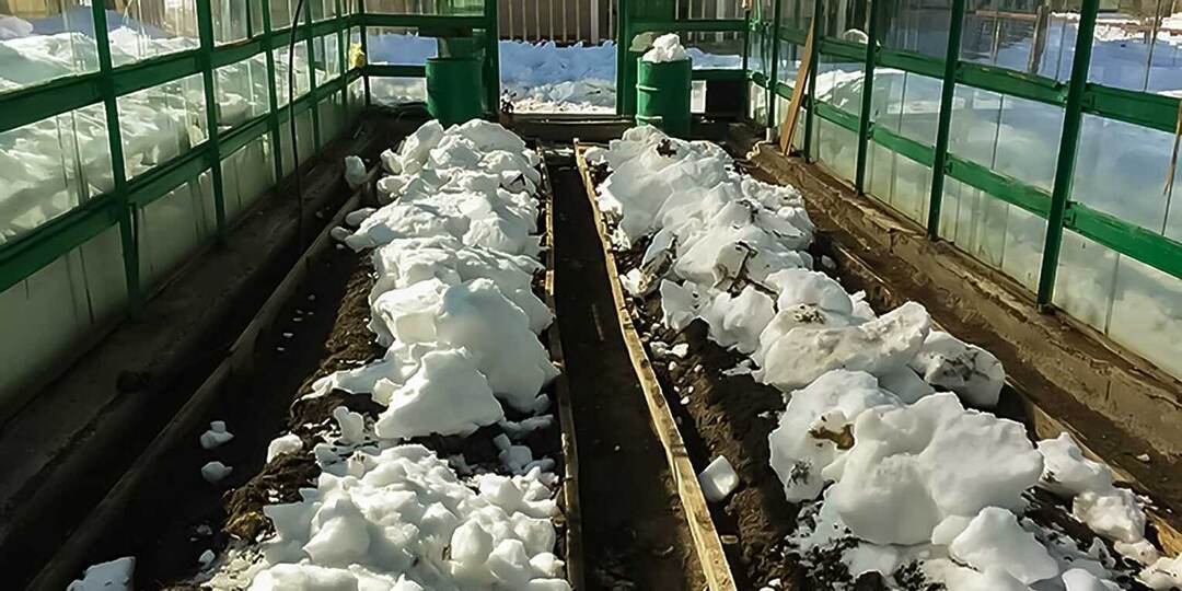 Зачем я закидываю снег в теплицу зимой: простой уход, дешёвый обогрев и свет своими руками