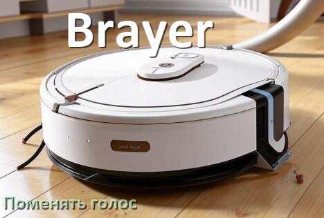 
Как поменять голос робота пылесоса Brayer изменить голосовой пакет через телефон на Андроид и iPhone