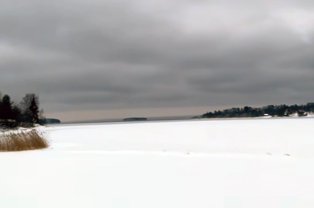    Лариса Гузеева вместе с мужем и собакой уехала на авто в далекую Карелию. Фото: соцсети