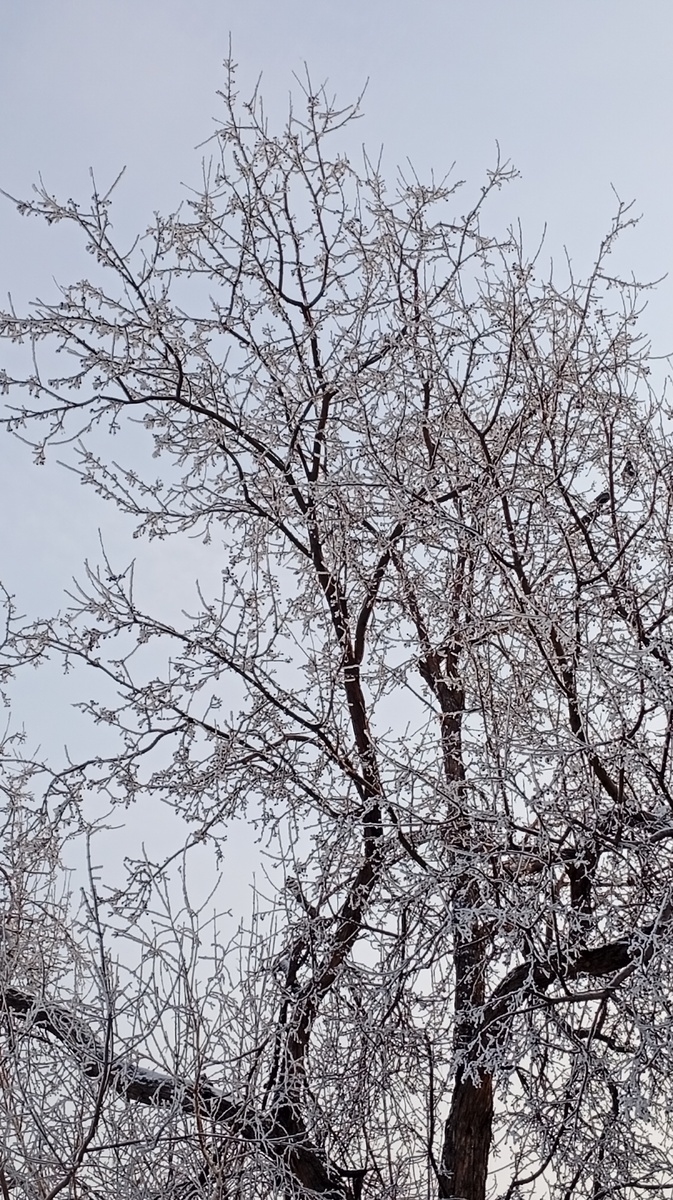 Фото из личного архива