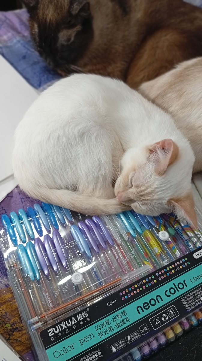 Фото из личного архива