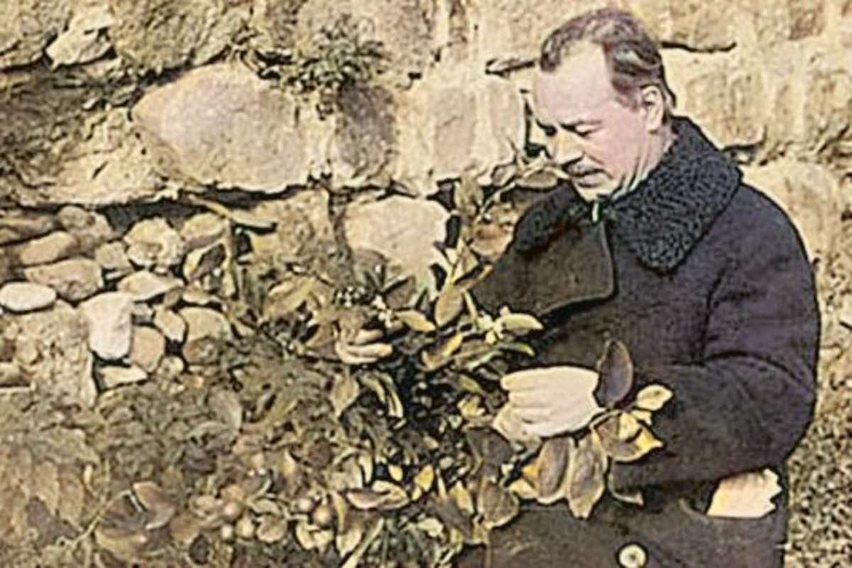 Николай Вавилов в экспедиции