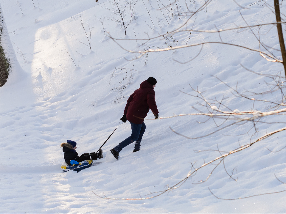    Фото: медиасток.рф