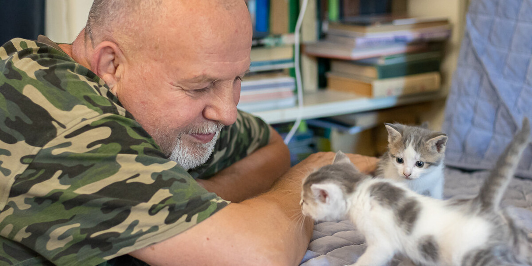 Кого выбрать - кота или кошку?