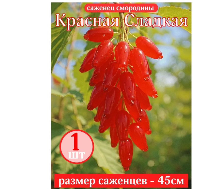 Магазин Зеленая лавка