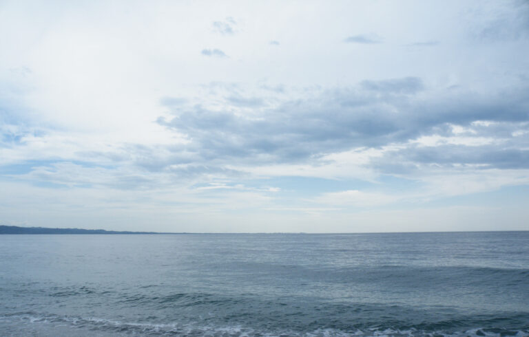    Фото: wiki commons/Rodrigo.Argenton/CC0 1.0 Алена Мищенко