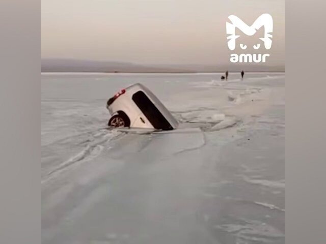    Фото: телеграм-канал Amur Mash