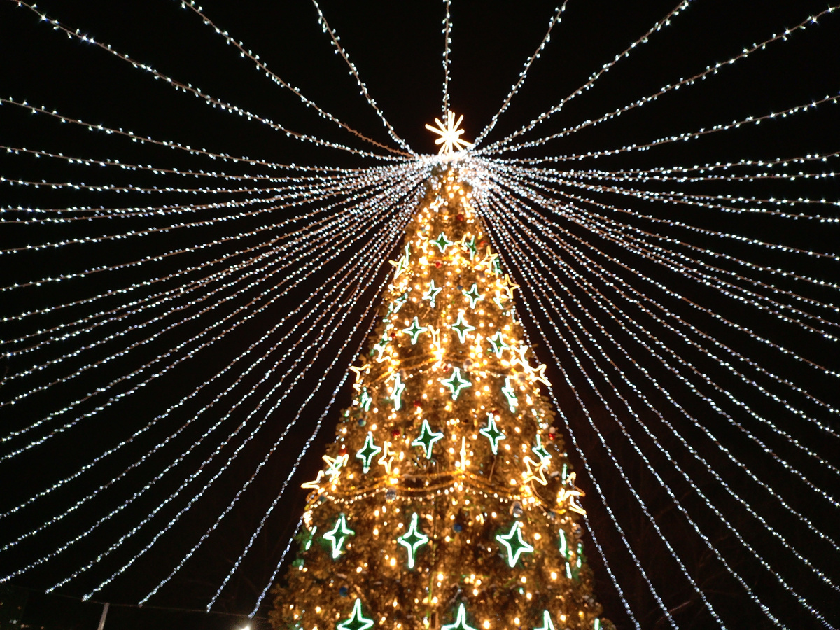 Ёлочка, вам нравится? 😊