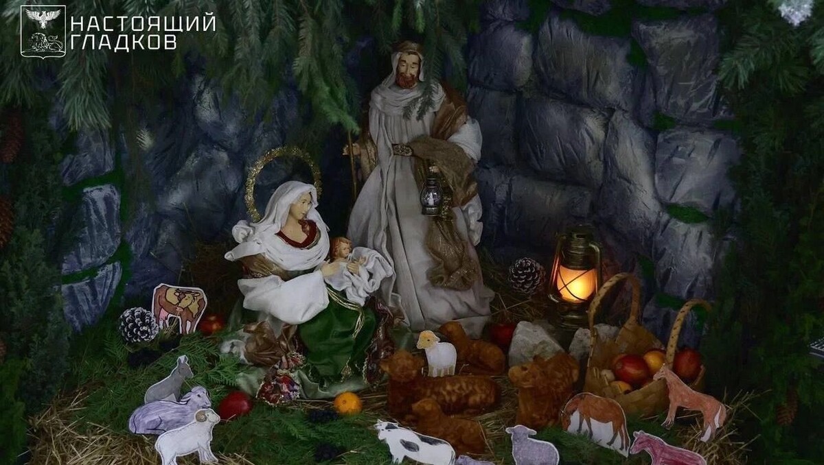   Фото: тг-канал «Настоящий Гладков»