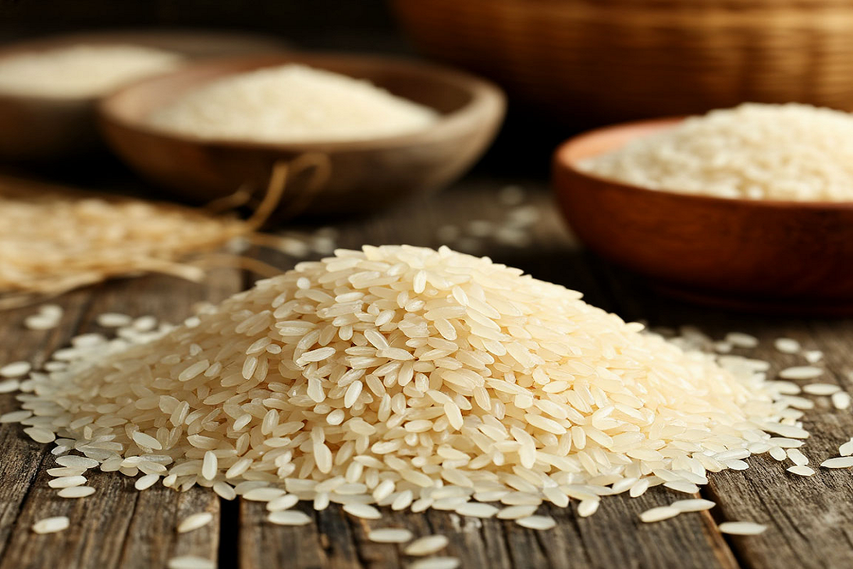    Фото: коллаж RuNews24.ru