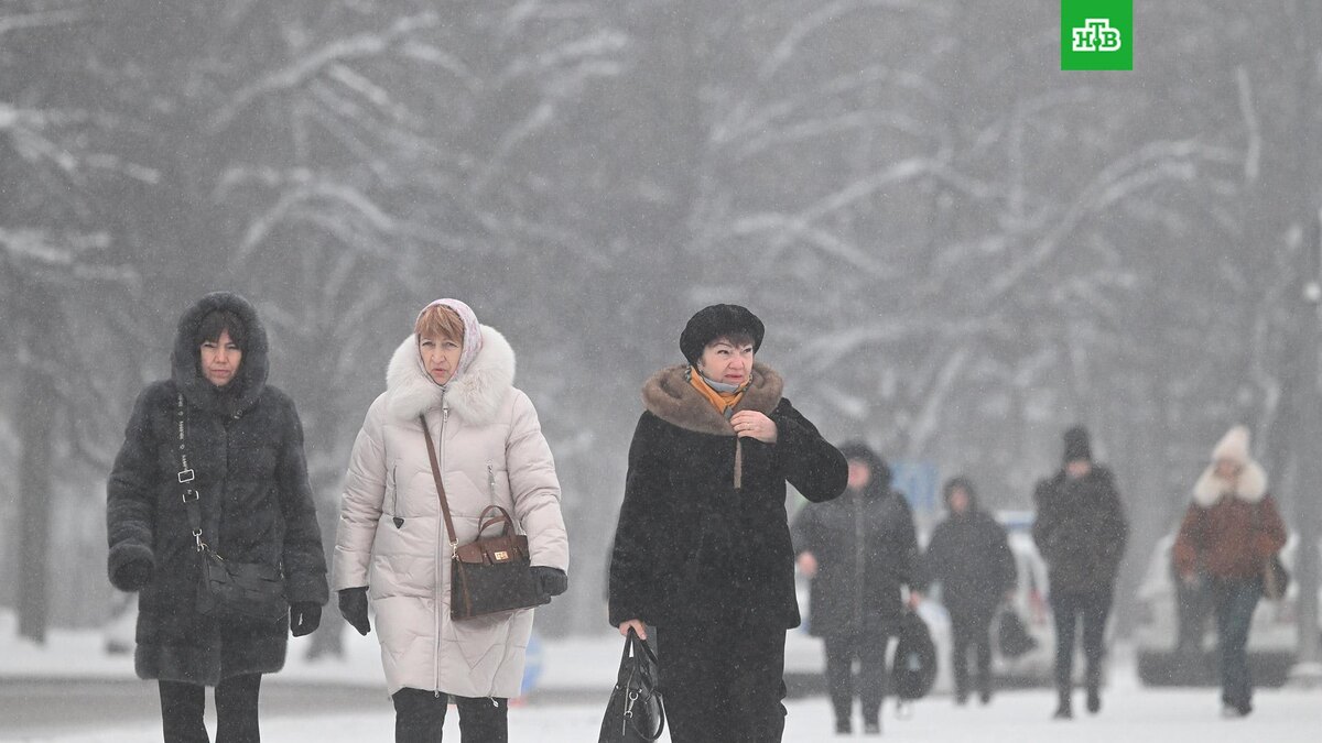    Фото: РИА Новости © 2026, Кирилл Каллиников