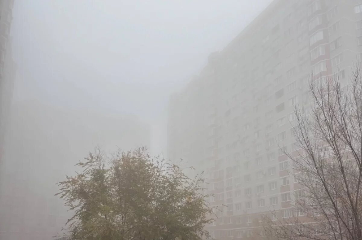    В Калининградской области зафиксировали туман с видимостью до 200 метров