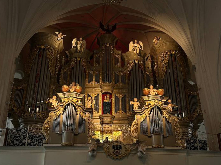     фото: архив мк в Мурманске.