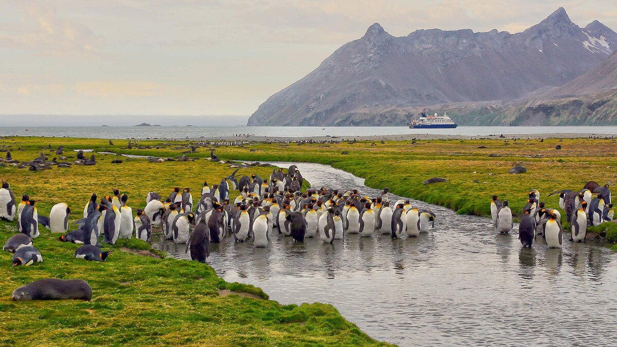 Раздолье для местных "жителей"