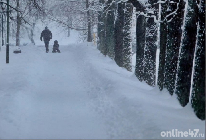 фото: Валентин Илюшин/Online47