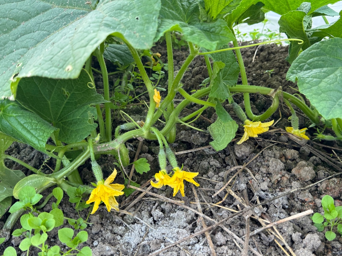    Архив редакции