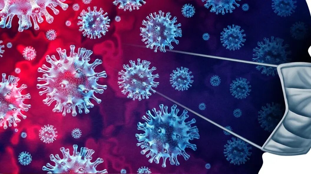    Фото: Царьград