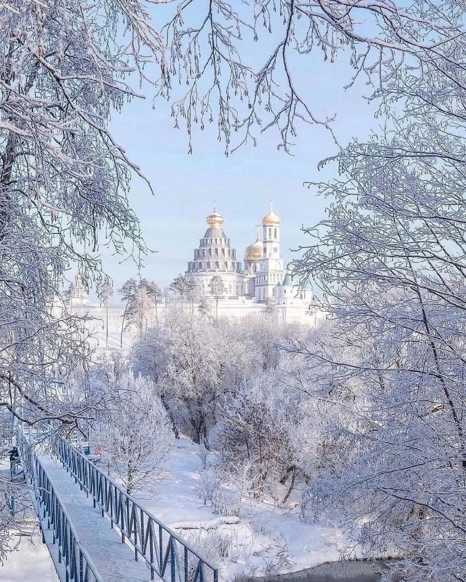 картинка взята из интернета