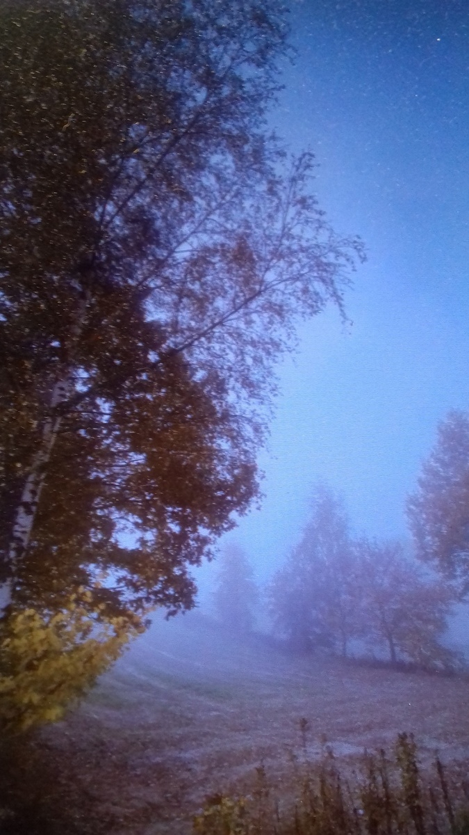 фото из интернета.