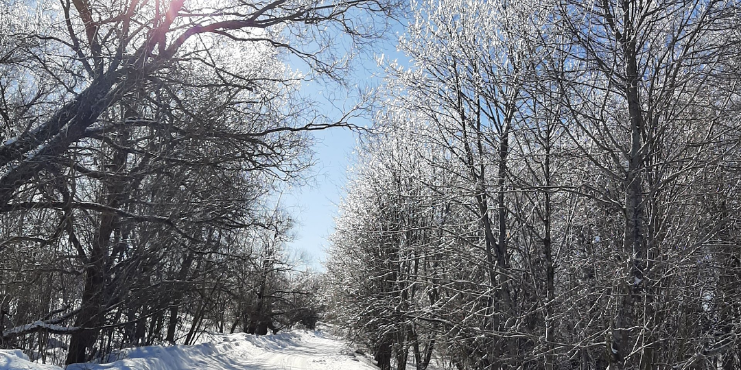 Рождество Христово по стране шагает, а быстрый обед время для общения освобождает