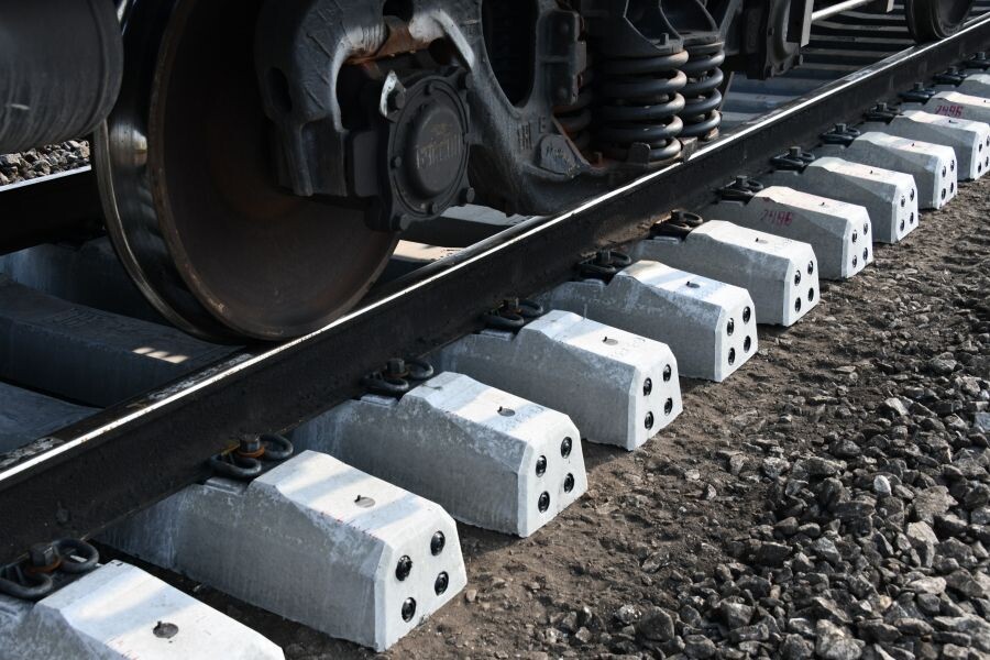     / Источник: © Евгений Епанчинцев/РИА Новости