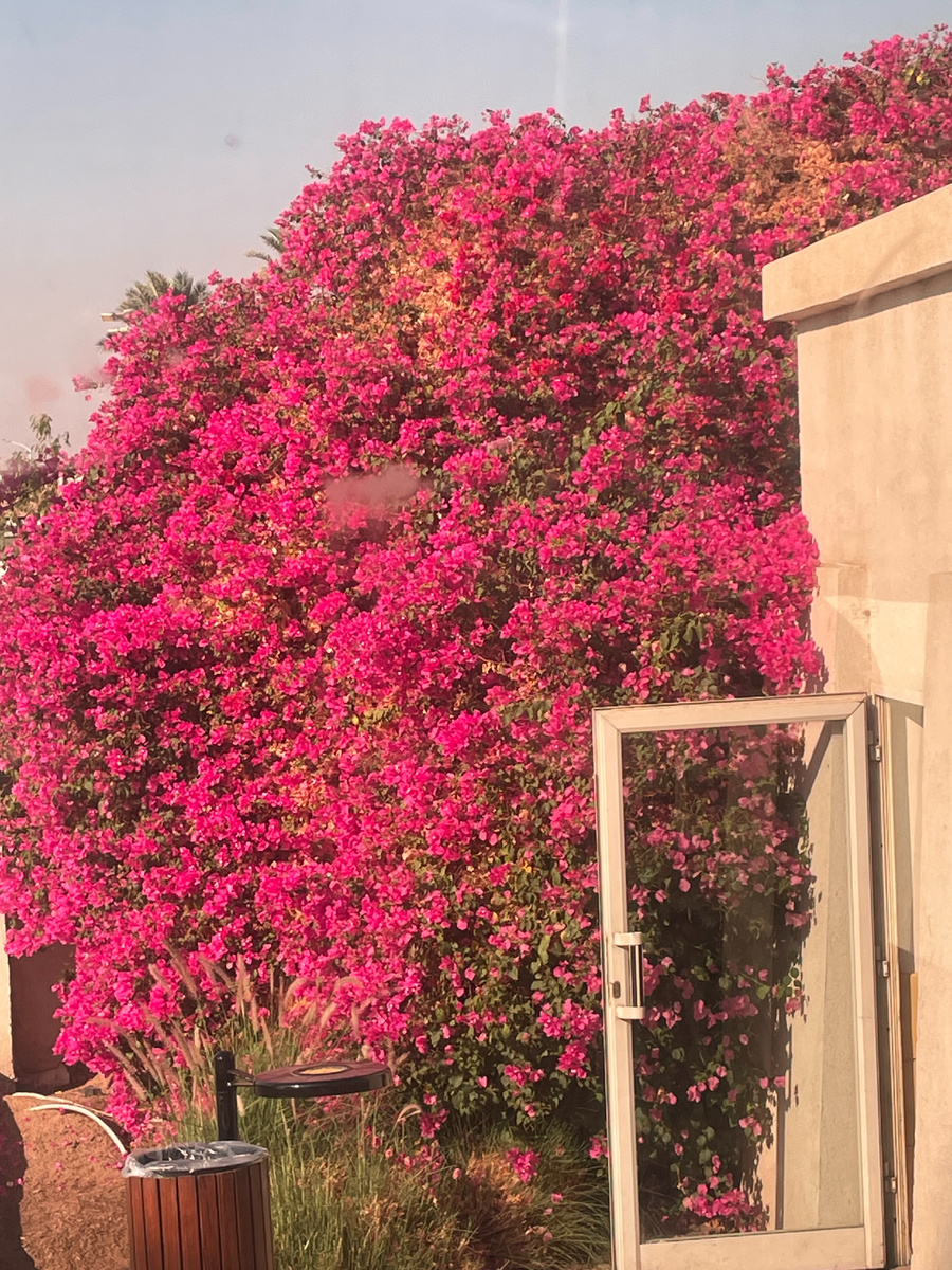 Фото героини и автора этой истории, Шарм.