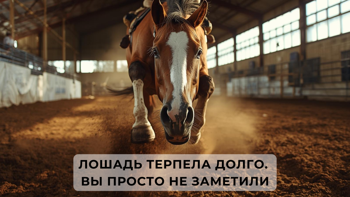 Про перегруз, который долго не считают проблемой — и зря