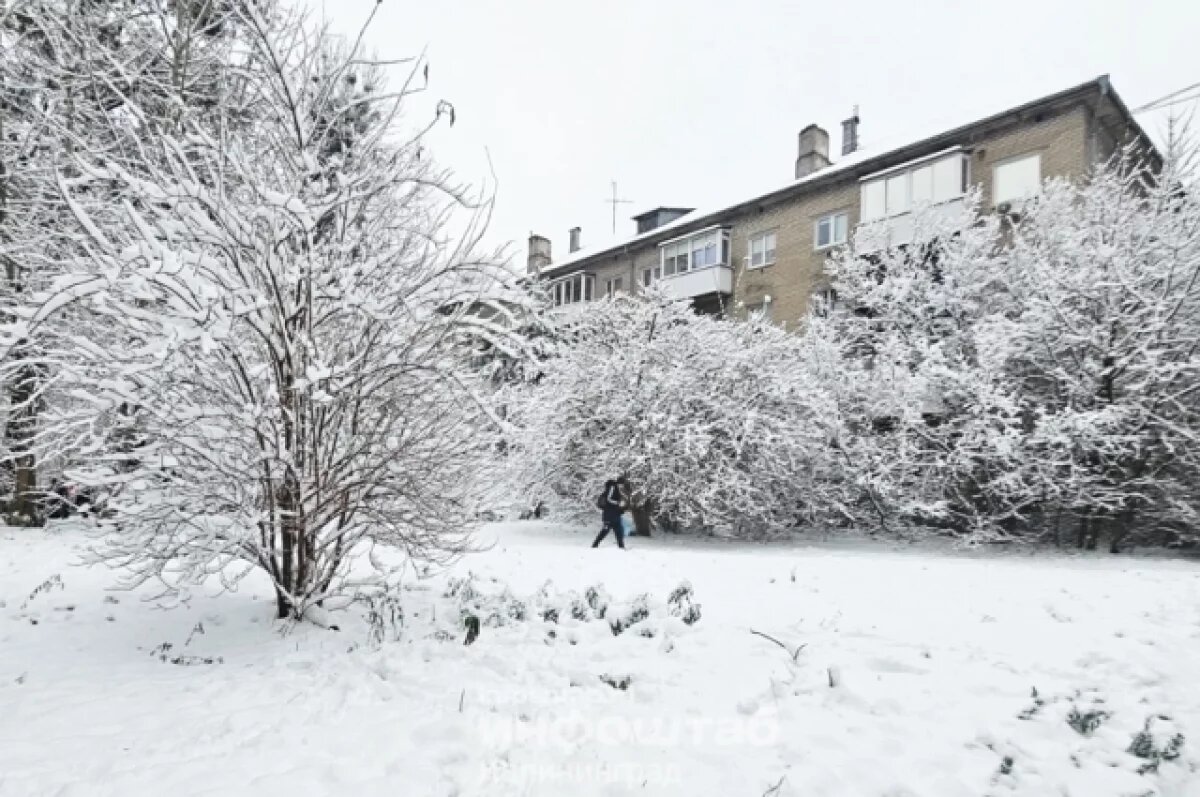    В Калининграде оштрафовали более 25 управляющих компаний за неубранный снег